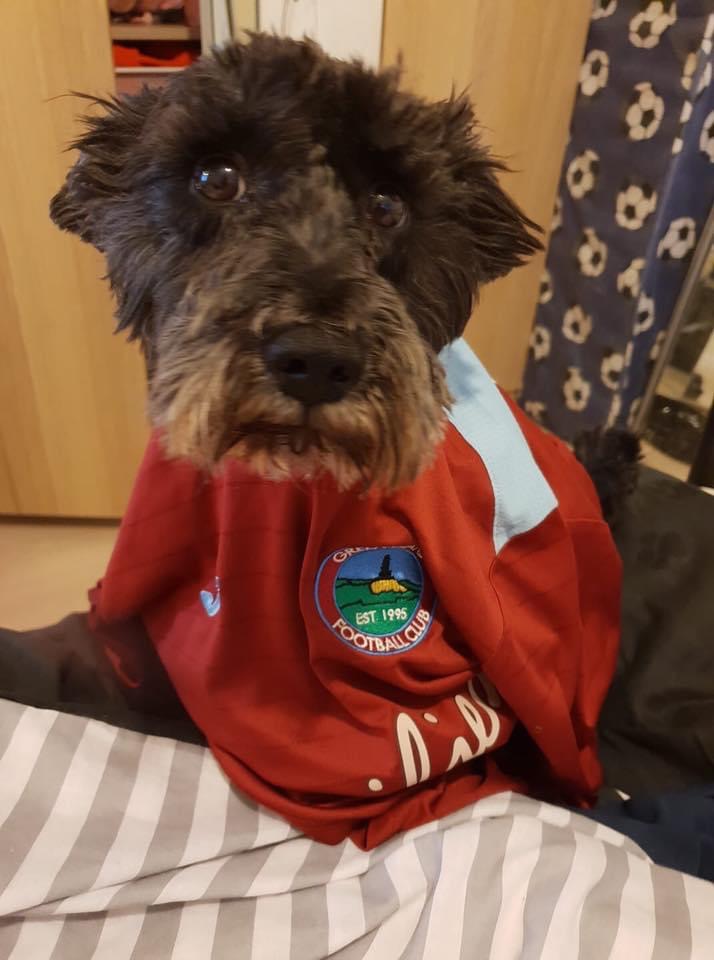 Garage & Accident Repair Centre Newtownabbey Bailies Auto Refinishers